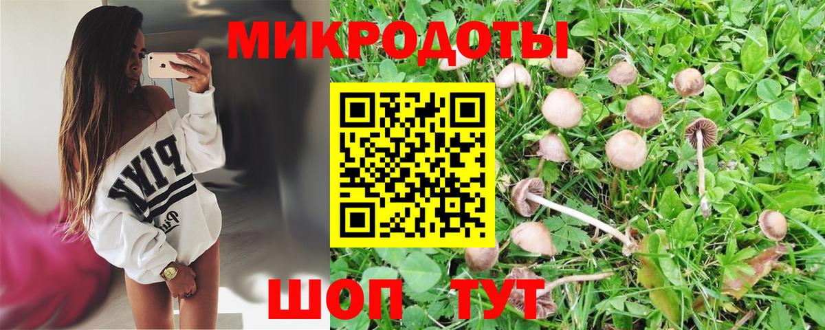 Псилоцибиновые грибы прущие грибы Славянск-на-Кубани