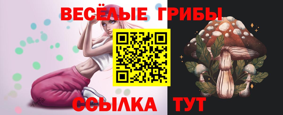 Славянск-на-Кубани  Псилоцибиновые грибы мухоморы  Вход с VPN 
